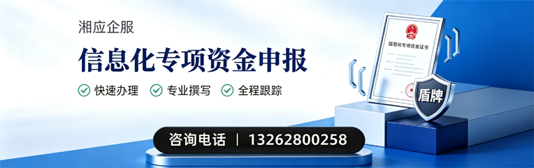 河南信息化专项资金申报服务