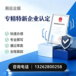 河南专精特新企业申报服务
