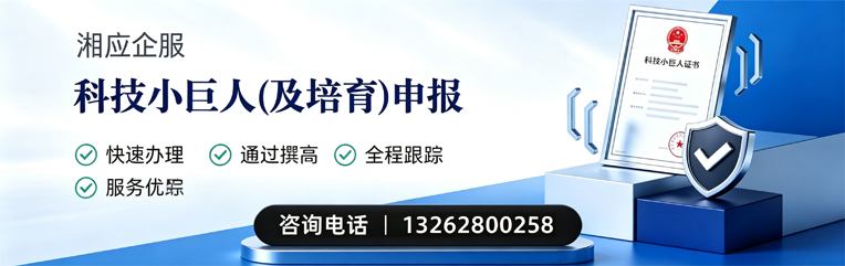 河南科技小巨人及培育企业申报服务