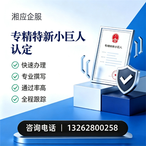 河南专精特新小巨人申报服务