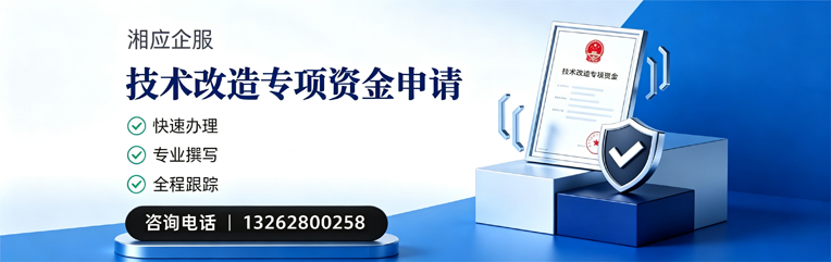 河南技术改造专项资金申报服务
