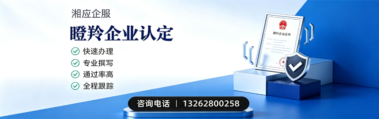 河南瞪羚企业认定申报服务