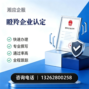 河南瞪羚企业认定申报服务