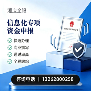 河南信息化专项资金申报服务