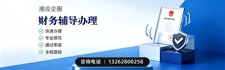 河南财务辅导申请服务