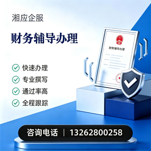 河南财务辅导申请服务