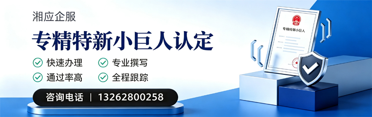 河南专精特新小巨人申报服务